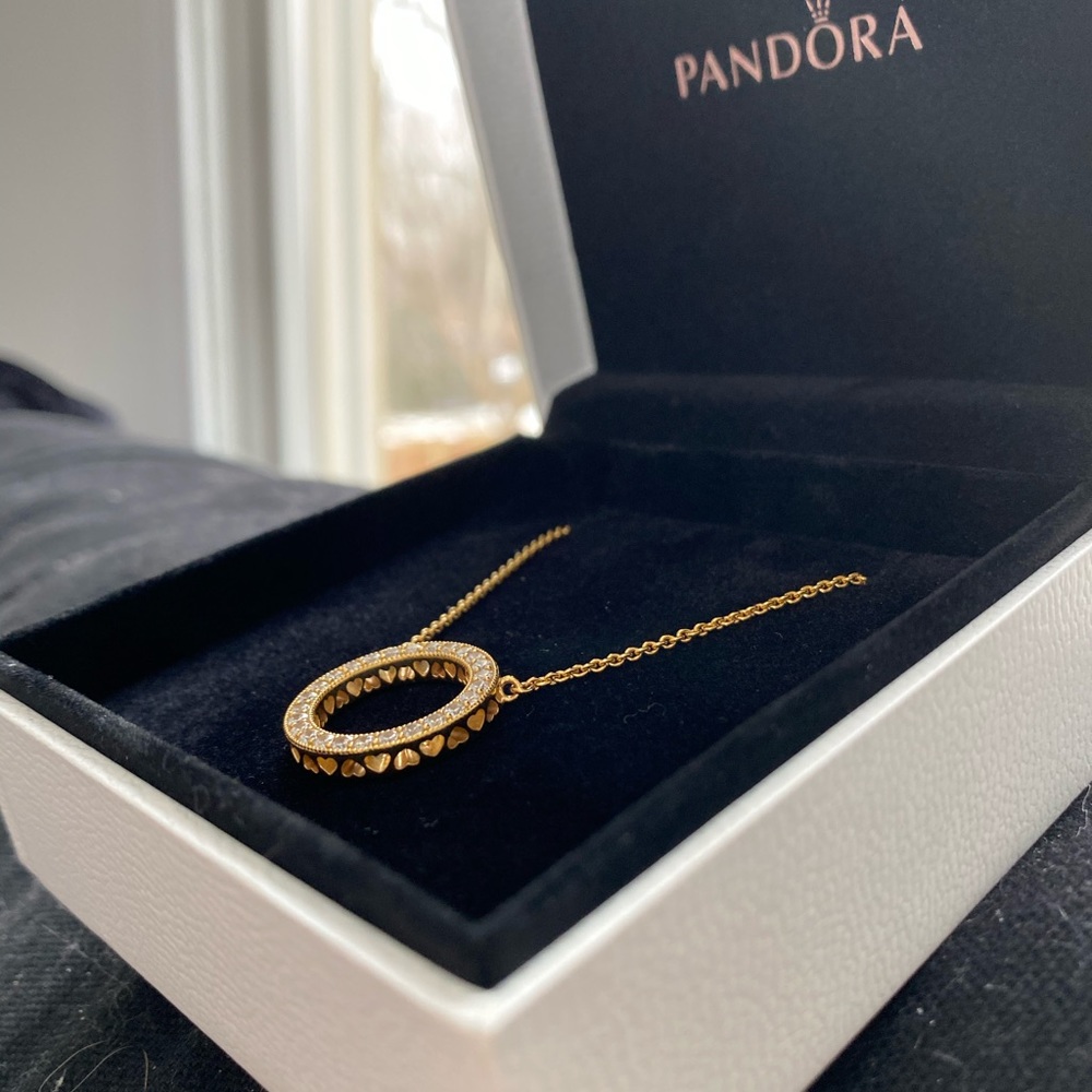 Pandora necklace, never worn